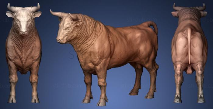 3D model Bull Realistic Sculpt (STL)