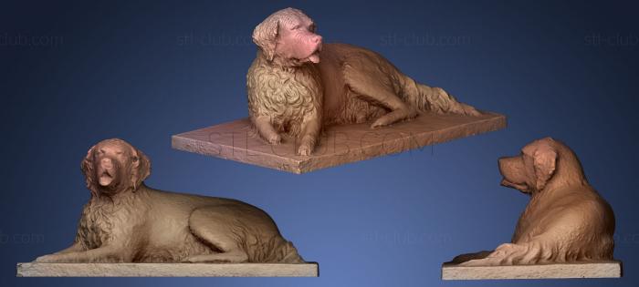 3D model Bum the Dog a San Diego story (STL)