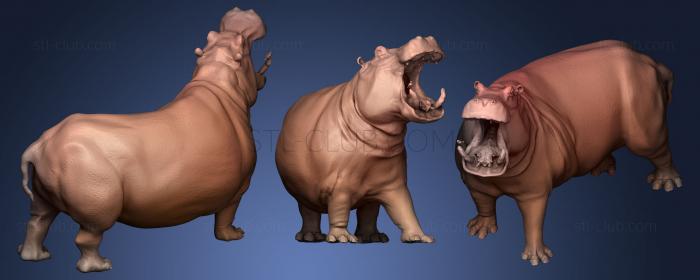 Ceramic Hippopotamus