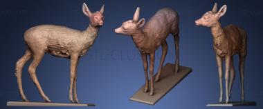3D model Deer doe Capreolus capreolus (STL)