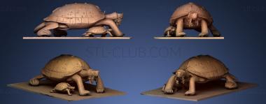 3D model Les Tortues de la Victoire (STL)