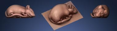 3D model Netsuke Sleeping rat (STL)