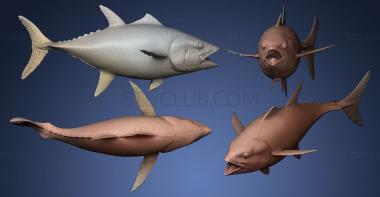 3D мадэль Голубой тунец (STL)