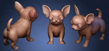 3D модель Милый щенок собаки чихуахуа (STL)