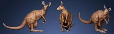 3D model Kangaroo made in china (STL)