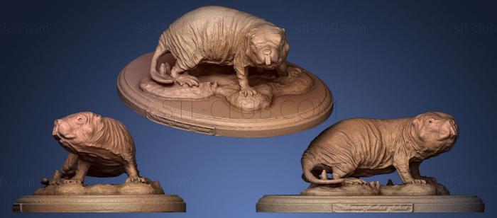 3D model Naked Mole Rat RA Wscan (STL)