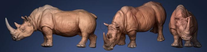 3D model Rinoceronte blanco Ceratotherium simum (STL)