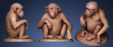 3D мадэль Молодой шимпанзе сидит (STL)