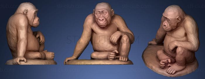 3D model Young gorilla sitting (STL)