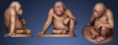 3D model Young gorilla sitting (STL)