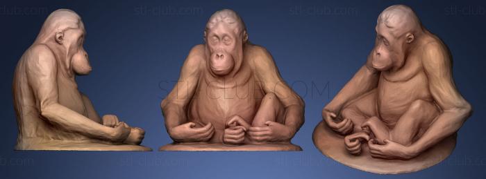 3D модель Молодой орангутанг сидит (STL)