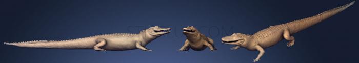 3D мадэль Американский аллигатор из Музея естественной истории Вены (STL)