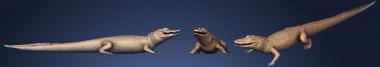 3D модель Американский аллигатор из Музея естественной истории Вены (STL)