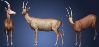3D мадэль Голубая антилопа из Музея естественной истории Вены (STL)