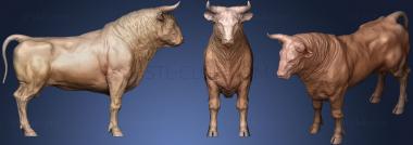 3D model Bull Realistic Sculpt (STL)