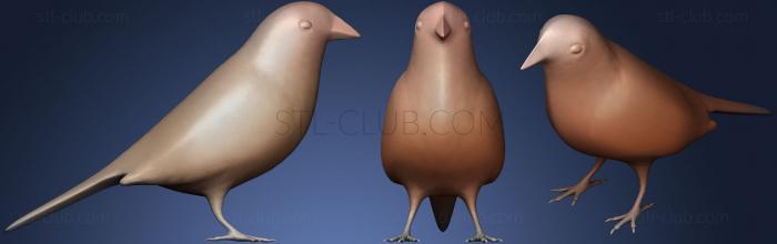 3D model Diamond Firetail Finch (STL)