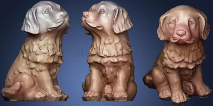 3D model Dog (Golden Retriever Golden Doodle) Puppy (STL)