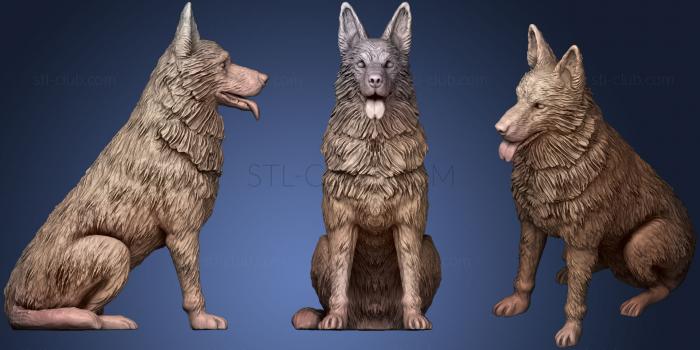 3D model East European (German) Shepherd Dog (STL)