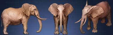 3D model Elephant 3d Printable (STL)