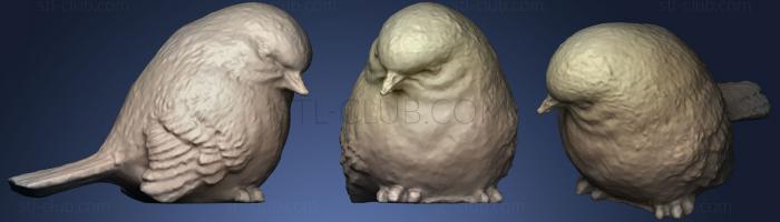 3D мадэль Семейство птиц птенец 3 (STL)