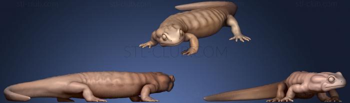 3D model Fire Salamander With Terrain (STL)