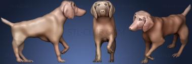 3D model German Shorthair Pointer Gsp (STL)