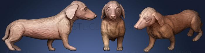 3D model Gold Dachshund Cute Eye (STL)