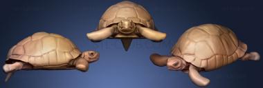 3D модель Черепаха Германна WIP 3 (STL)
