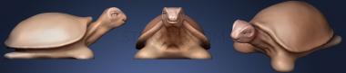 3D мадэль Просто Черепаха и черепаший плантатор (STL)