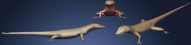 3D мадэль Мексиканская ящерица-аллигатор (STL)