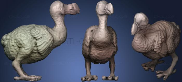 More Realistic Dodo Raphus