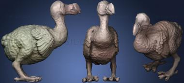 3D model More Realistic Dodo Raphus (STL)