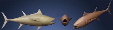 3D мадэль Северный голубой тунец (STL)