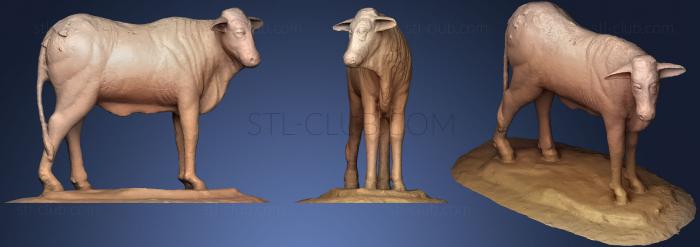3D мадэль Патунг Сапи Фпп Ундип Семаранг (Статуя коровы) (STL)