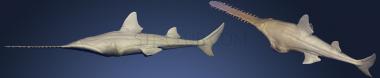 3D model Prehistoric Fish (Onchopristis) (STL)