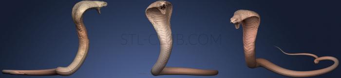 Realistic angry attack cobra