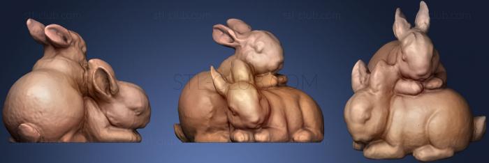 Scanned Rabbit Figure