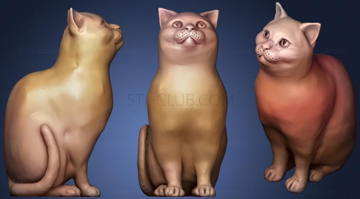 3D model Schrodinky British Shorthair Cat Sitting In A Box 2 (STL)