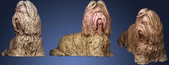 3D model Shih Tzu Ornament  Leonardo Collection (STL)