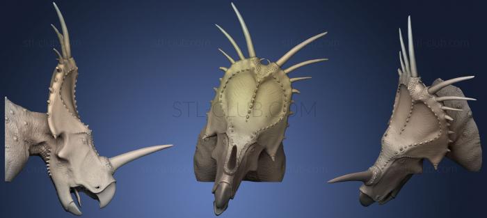 Styracosaurus Albertensis Bust