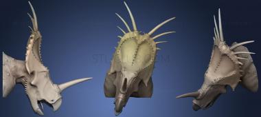 3D model Styracosaurus Albertensis Bust (STL)