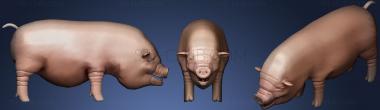 3D model Vietnamese Pot Bellied Pig (STL)