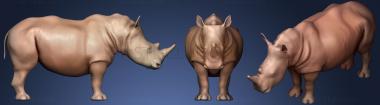 3D модель Взрослый белый носорог WIP (STL)