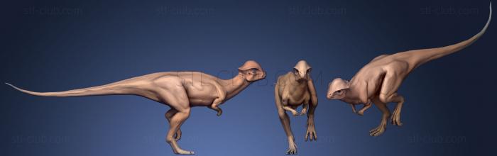 Prehistoric Creatures16