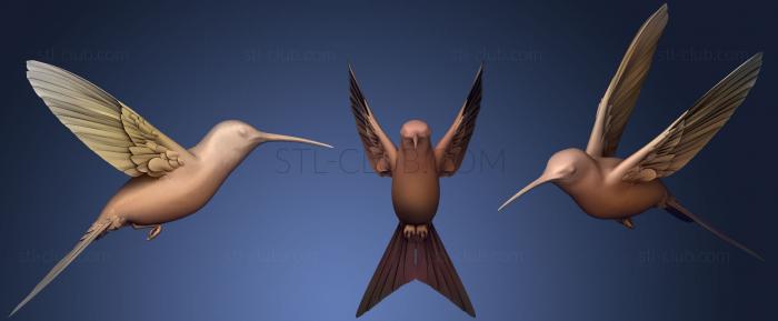 3D модель Ласточехвостая колибри (STL)