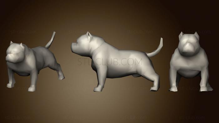 American Bully Dog Low Poly