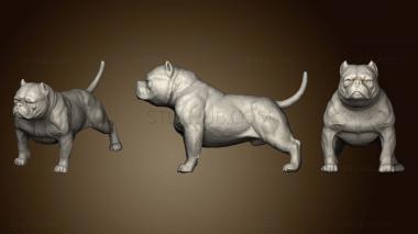 3D model American Bully Dog (STL)