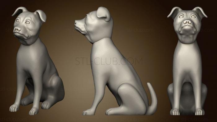 3D model American Staffordshire Terrier (STL)