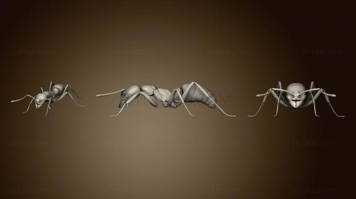 Идущий муравей