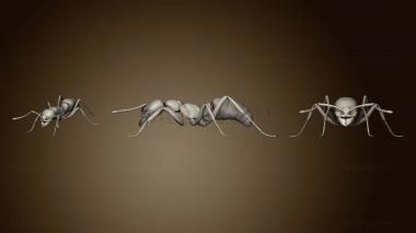 3D model Ant Walk (STL)